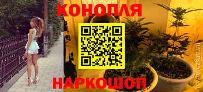 сатива Усть-Джегута